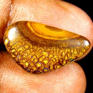 10.96 ct Exquisite Fancy (20.75 x 12.18mm) Australian Koroit Boulder Opal - Picture 1 of 2