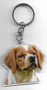 BRETON CHIEN DOOR CLE / BRITTANY SPANIEL DOG K.FOB - Picture 1 of 2