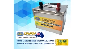 12V 50AH Lithium Iron LiFePO4 Deep Cycle battery Water Snake with Bluetooth - Picture 1 of 3