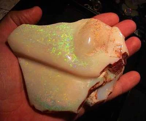 1390 Carat Largest Investment Gem White Opal + Shell Gold-Multicolor! Video - Picture 1 of 7