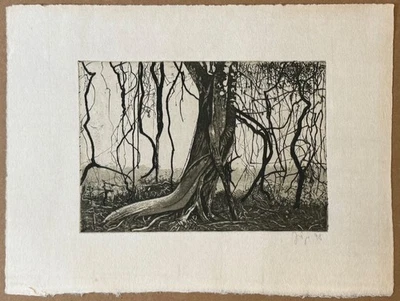 Herbert Jäger, Radierung, 1978, handsigniert und datiert - Bild 1 von 4