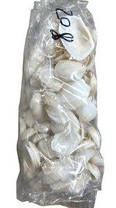 8 oz. Conchas marinas blancas naturales a granel océano pequeñas artesanías con concha de almeja blanca - Imagen 1 de 5