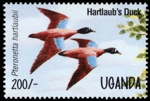 UGANDA 1298c - Hartlaub's Duck "Pteronetta hartlaubii" (pb63954) - Picture 1 of 1