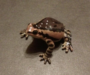 RARA Figura de sapo rana toro gordita japonesa exclusiva de Kaiyodo Yujin - Imagen 1 de 2