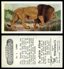 Lion #3 Interesting Animals 1954 Neilson's Card