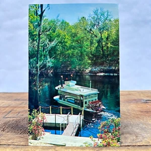 Vintage Florida Postcard Suwannee River Stephen Foster Memorial White Springs - Picture 1 of 2