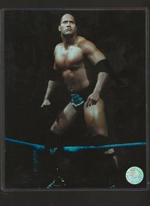 LOTE DE FOTOS DE LUCHA LIBRE 8 X 10 DE 18 FOTOS TRIPLE H, JOHN CENA, ROCA, PIEDRA FRÍA, BORDE - Imagen 1 de 18