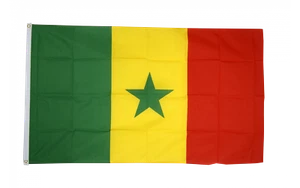 Fahne Senegal Flagge senegalesische Hissflagge 90x150cm - Bild 1 von 1
