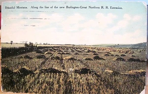 MT Postcard BEAUTIFUL MONTANA Burlington Great Northern RR Wheat Cohn 1910 - Picture 1 of 2