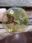 Vintage Lucite Kitchen Trivet With Real Butterflies