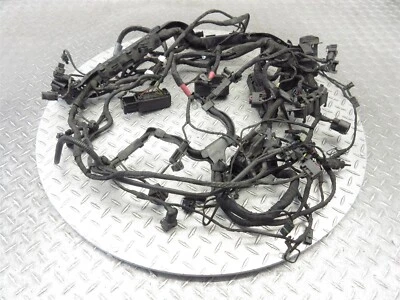BMW R1200RS 2016 15-18 cableado del motor principal cable telar OEM Foto 1 de 4