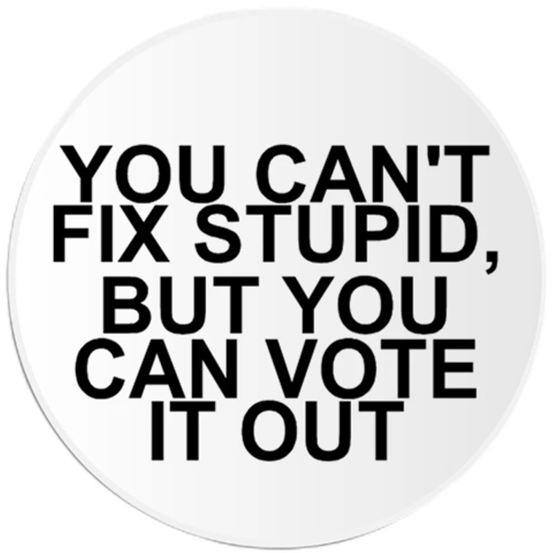 You Can't Fix Stupid But You Can Vote It Out - 25 包圆形贴纸 3 英寸 — 第 1/1 张图片