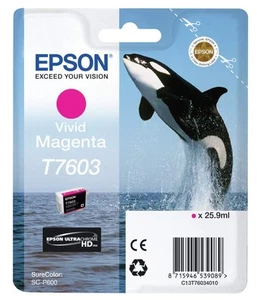 Epson C13T76034010 T7603 Vivid Ink Cartridge, Magenta, Genuine - Afbeelding 1 van 5
