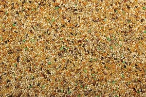Finch Plus 5-lb Finch Seed Mix. Finch Food, Bird Food, Bird Seed Mix, Finch Diet - Picture 1 of 1