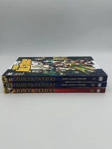 Young Justice di Peter David libri uno, due e tre - Foto 1 di 13