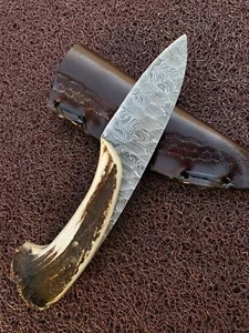 Hunting Skinner Deer Horn Handle Damascus Steel Knife With sheath Roll 0013 - Picture 1 of 7