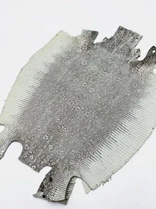 Lizard Skin Leather Natural Color Front Cut (100% Genuine skin - Picture 1 of 4