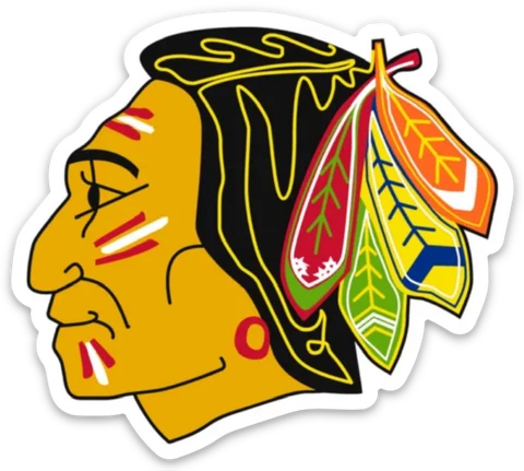 Chicago Blackhawks likeness logo magnet - NHL Cover