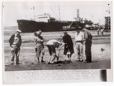 1950 Tanker SS Salinas Aground Shilshole Bay Seattle Washington News Wirephoto - Image 1 of 2