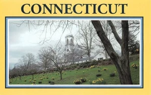 Postcard Daffodils Church Hill Essex Connecticut CT - Picture 1 of 2