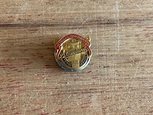 Standard Transformer Co Lapel Button Employee Service Award Vintage Chicago - Picture 1 of 18