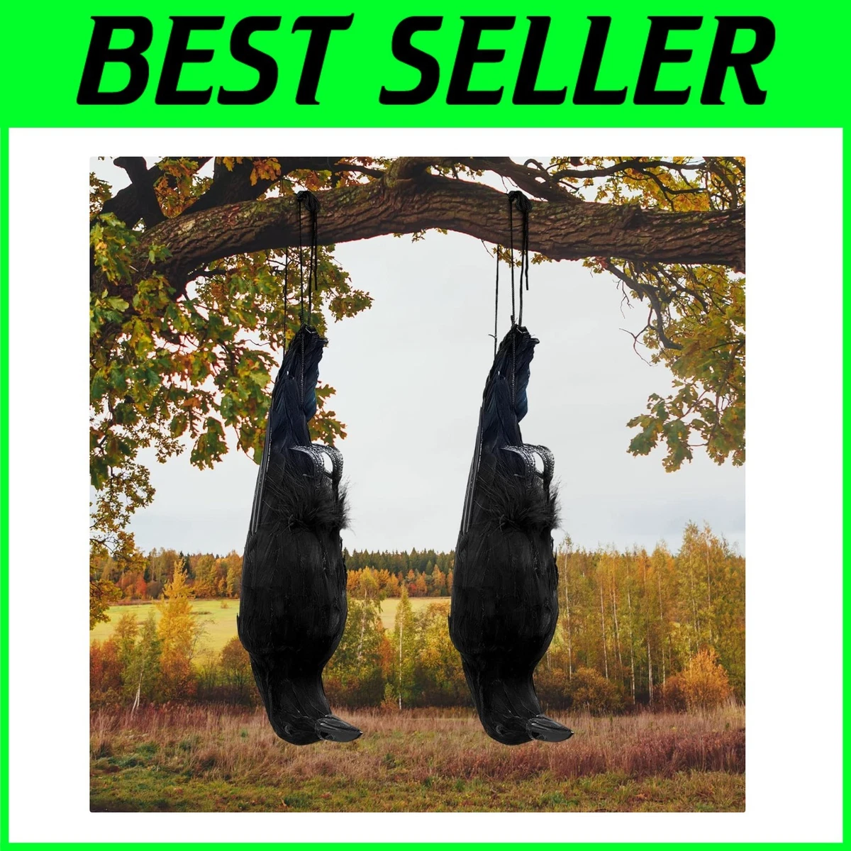 Lifelike Hanging Crows Set - Enhance Your Halloween Decor with 2 Realistic  Props | eBay