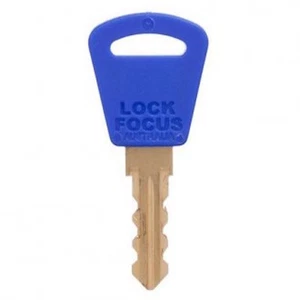 Lock Focus Barrel Exchange Assembly / Disassembly Key -Free Post -07350837 - Picture 1 of 4