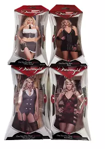 Dreamgirl Sexy Queen Size Lingerie SET OF 4 SEXY SECRETARY AND MORE! - Picture 1 of 6