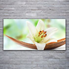 Print on Glass Wall art 120x60 Picture Image Flower Floral