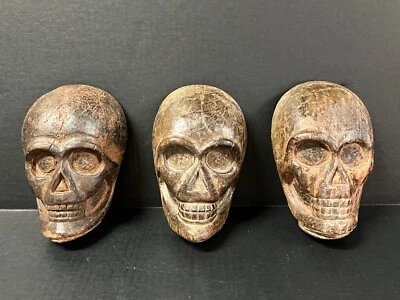 SKULL PAPERMACHE MOLD  3 pieces - Image 1 of 4
