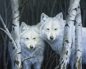 White Wolves  ~ 35" x 44" ~ Wolves, Winter ~ David Textiles Fabric Panel - Picture 1 of 1
