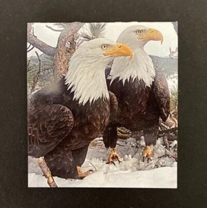 One Magnetic Bookmark Stocking Stuffer with Bald Eagles in snow - Bild 1 von 7
