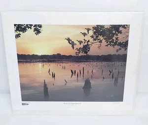 Impresión firmada de Harold Roe "Marais des Cygnes Memories" 18-1/2" x 23-1/2" - Imagen 1 de 5