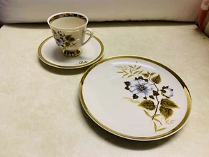 Vohenstrauss Johann Seltmann Bavaria Sammeltassengedeck gr. Blumenmotiv 3 tlg. - Bild 1 von 4