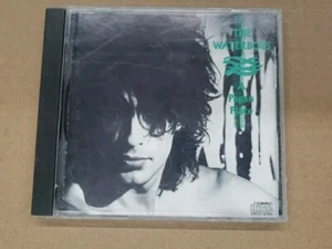 The Waterboys CD A Pagan Play - Picture 1 of 3