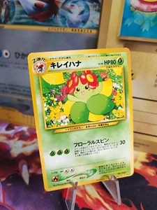 Pokemon Karte Card Blubella Bellossom Information Magazine Promo japanese NM - Bild 1 von 14