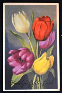 Postal de felicitación holandesa PC coloridos tulipanes sin usar alrededor de 1910 - Imagen 1 de 1