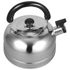 Traditional Kettle Whistle Water Boiling Kettle Kungfu Teapot