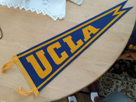 UCLA Bruins Pennant, 9.5 x 26.5" Swallow Tail Cover