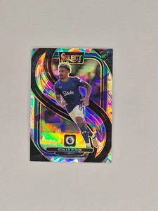 Panini Premier League Select 2024-25 Roman Dixon Ice Prizm - Picture 1 of 2
