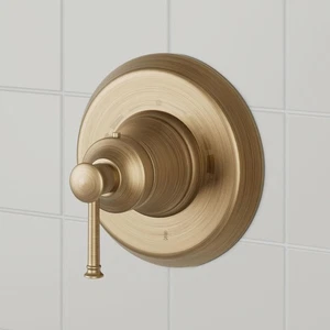 Signature Hardware SHBE80102AGBR Beasley Shower Trim-No Valve-Aged Brass - Picture 1 of 9