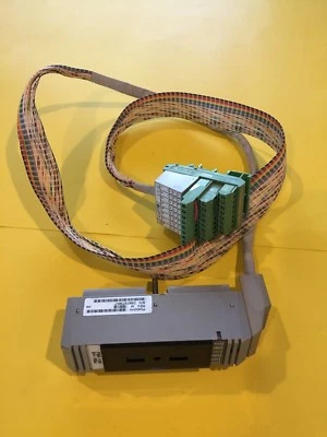 FOXBORO P0400HH Rev. M FBM 1/43 con Phoenix Contact ¡Envío Gratis! Foto 1 de 4