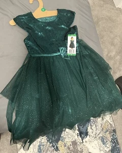 Girls Party Dress - Picture 1 of 2