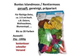 Muwse buntes gerupftes Rentier- Islandmoos Ostern Weihnachten gereinigt haltbar - Bild 1 von 8