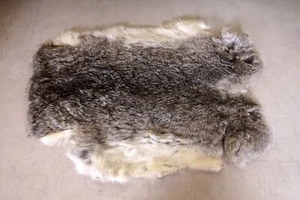 Bellissima pelliccia di coniglio grigia lunghezza: 47 cm Rabbit Fur - Foto 1 di 2