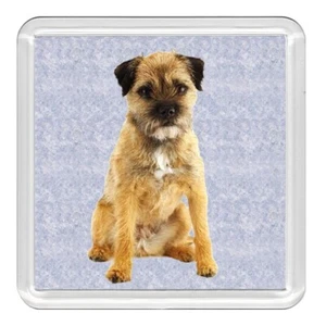 Border Terrier Cute Sitting Dog Acrylic Coaster Novelty Drink Cup Mat Great Gift - Picture 1 of 1