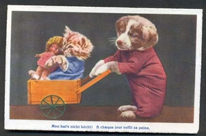 GATITO Y CACHORRO VESTIDOS EN CARRITO ''A CHAQUE JOUR SUFFIT SA PEINE" - POSTAL SUIZA - Imagen 1 de 2