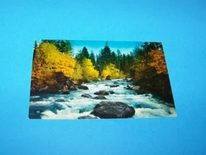 McKenzie River "Fall Foliage"  Vintage Postcard  Oregon  - Picture 1 of 2