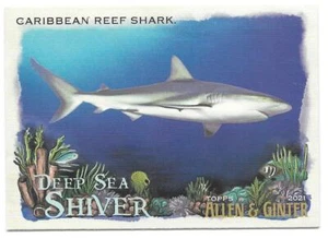 2021 Allen & Ginter CARIBBEAN REEF SHARK  Deep Sea Shiver #DDS-13 - Picture 1 of 1