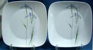 Lot of 2 Corelle Shadow Iris 10" Dinner Plates ~ Unused ~ Part of 72 pc Set  VGC